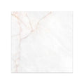 Ceramic Tiles Dahlia White 100x100 (Spain)