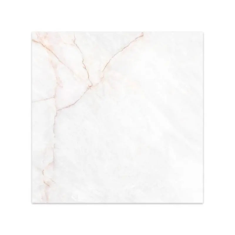 Ceramic Tiles Dahlia White 100x100 (Spain)