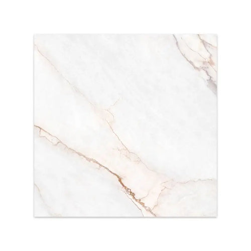 Ceramic Tiles Dahlia White 100x100 (Spain)